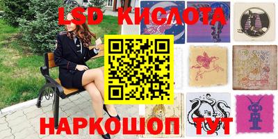прущие грибы Будённовск