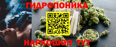 прущие грибы Будённовск