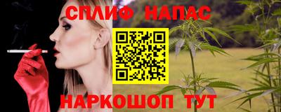 прущие грибы Будённовск